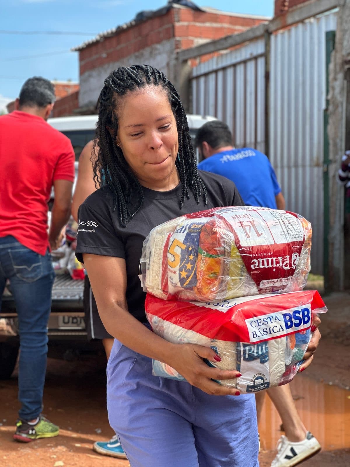 Atividades do formigueiro